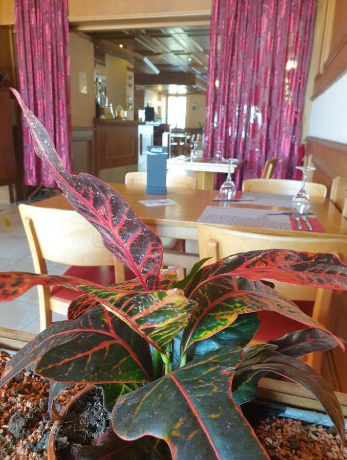 Hotel Lion D'Or Romont מראה חיצוני תמונה